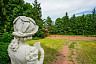В Саратове за 81 миллион рублей продают особняк с белорусскими кедрами